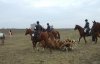 vadászat lovakkal