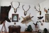 vadászati múzeum