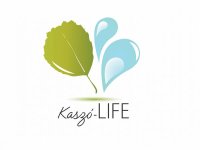 kaszo logo