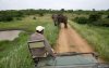 afrikai elefántvadászat