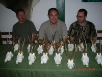 nimród vadásztársaság őzbak trófeák