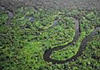 amazonas-i esőerdő pusztulása