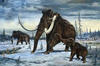 vadászairól mesél a mamutcsontváz