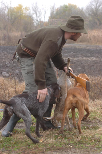 vadász kutyákkal